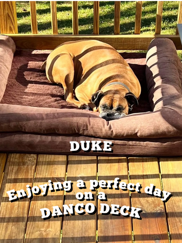 Duke enjoying a perfect winter day on a Danco Deck