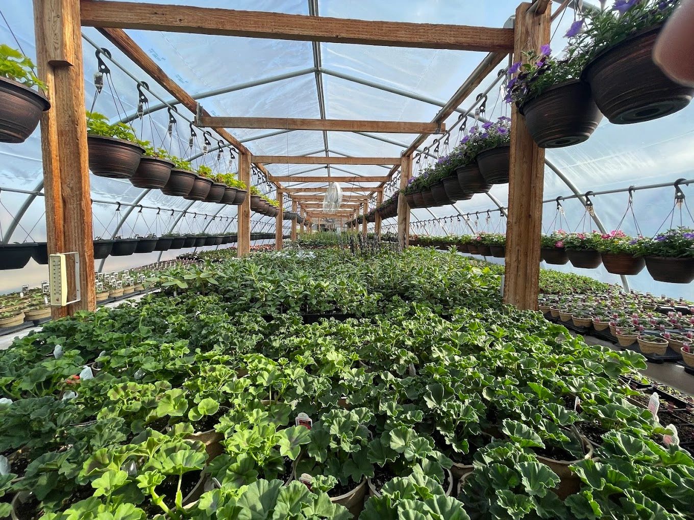 Valley Greenhouse