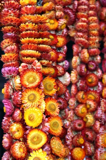 Dried everlasting flower necklaces are for sale in Baguio.