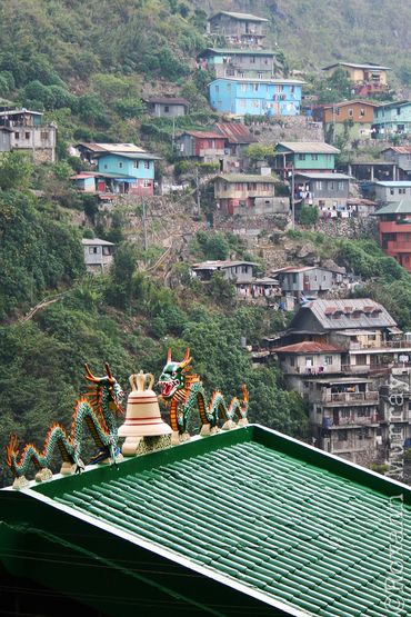 Dragon statue on Bell Church roof with houses in background. 