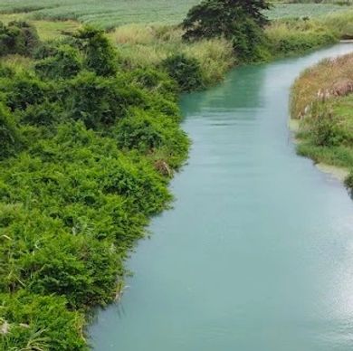 A serene river flows between lush green vegetation and a small boat dock.