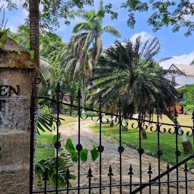 Historic Hampden Great House estate with gated entrance and lush greenery.