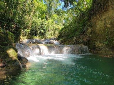 A serene waterfall flowing into a clear pool surrounded by lush greenery.