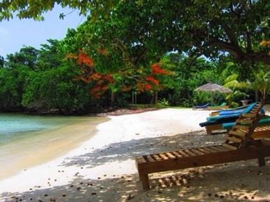 A serene beach with lounge chairs and lush greenery.