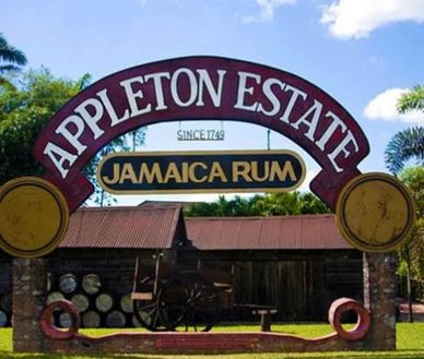 Signboard of Appleton Estate Jamaica Rum with rustic background.