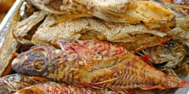 Close-up of grilled fish with crispy skin.