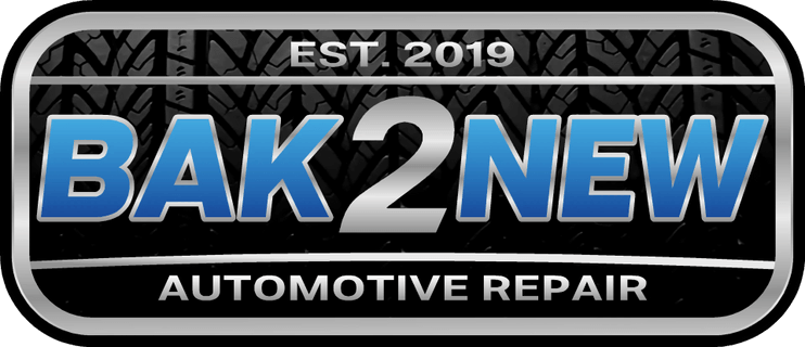 BAK 2 NEW LLC