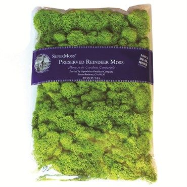 Super Moss Reindeer Moss Preserved, Chartreuse, 8oz (200 cubic