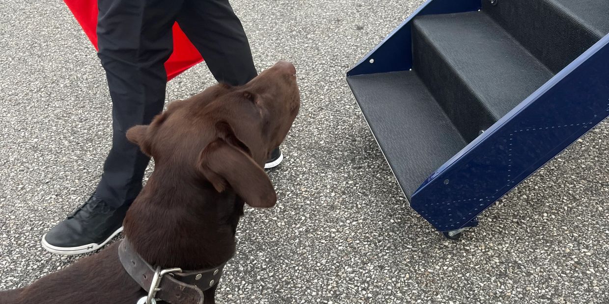 Offering Explosive and Narcotics K9 Teams for public and private events.