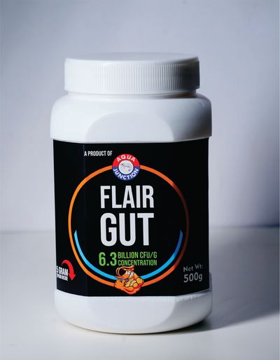 Best gut probiotics used in shrimp farming for growth, digestion, Controls white gut, EHP and Vibrio