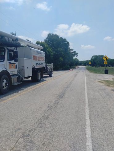 Tree service truck parked beside a rural road.