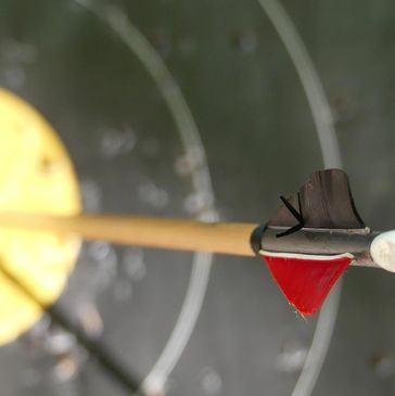 Arrow stuck in the bullseye of a target.