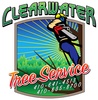 Clearwater Tree Service