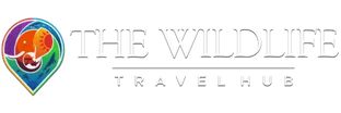 The Wildlife Travel Hub