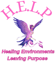 Healing Environments Leaving Purpose