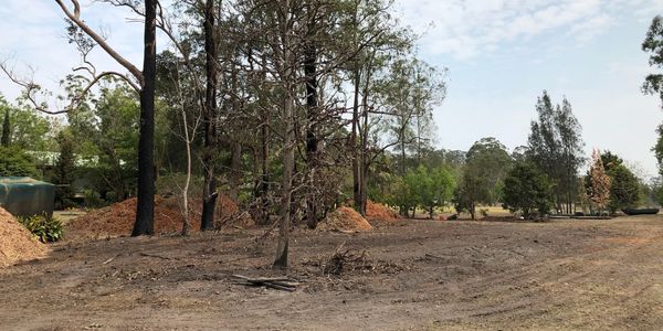 Our land clearing and property clean up work is in high demand.