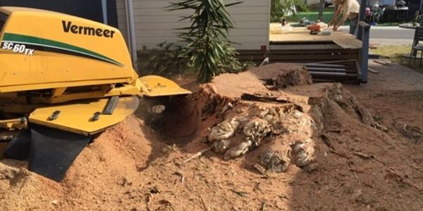 Our stump grinding service is second to none.