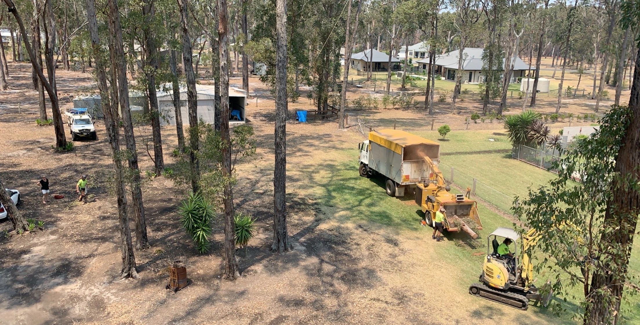 JEFF PEARCE TREE SERVICES Tree Services Taree, New South Wales