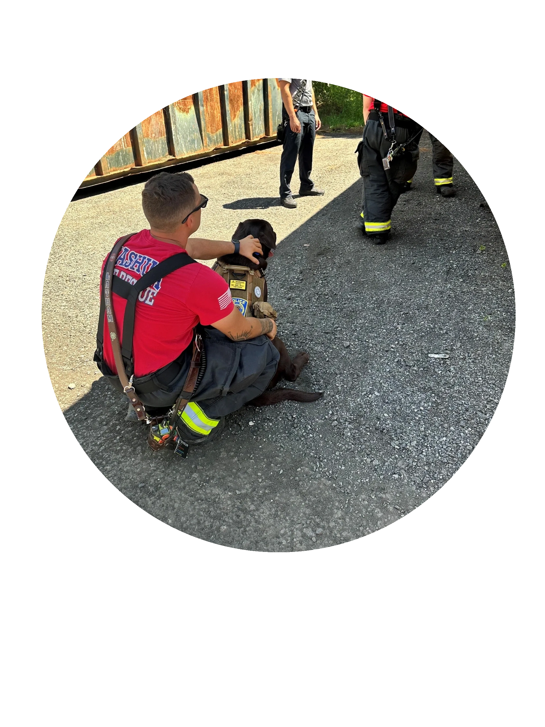 Firefighter in red shirt with rescue dog during training outdoors.