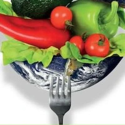 Diet and disease prevention, ultra-processed foods and Western diets, public health nutrition (Ch 2)