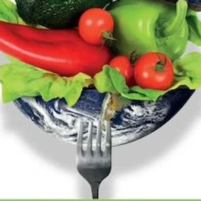 plant-based diets, probiotics, disease prevention, food fads, microbiome, breastfeeding (Ch 6)