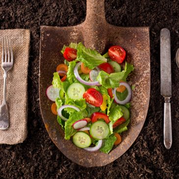 Nutritional ecology  paradigm, food systems, healthy hedonism, and total health and well-being