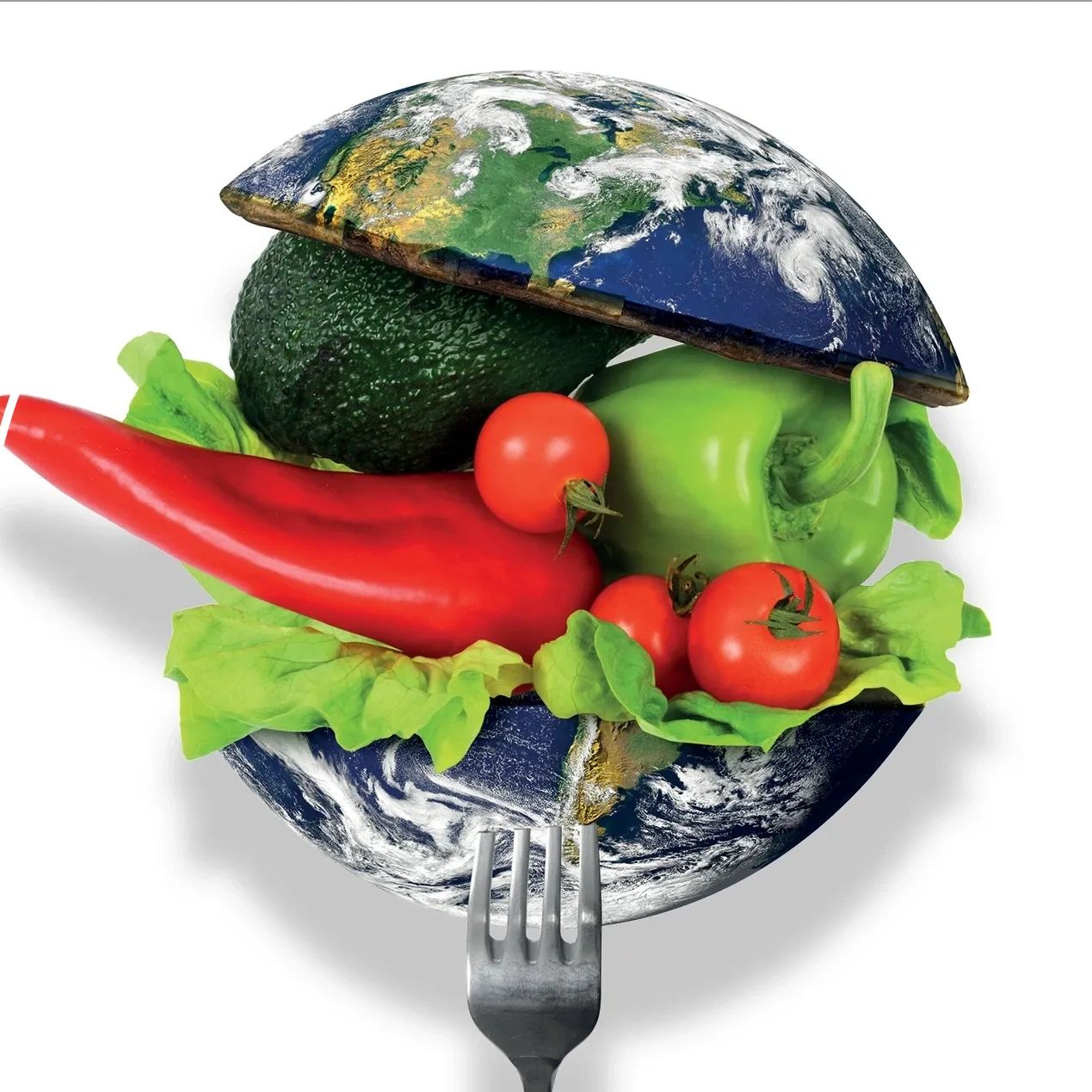Food and Nutrition book cover, modern nutrition guide