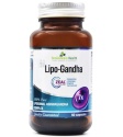 LipoGhanda™ DE AT CH Erfahrungsbericht