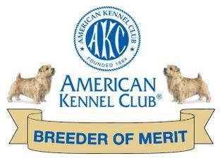 AKC Breeder Of Merit Program – American Kennel Club