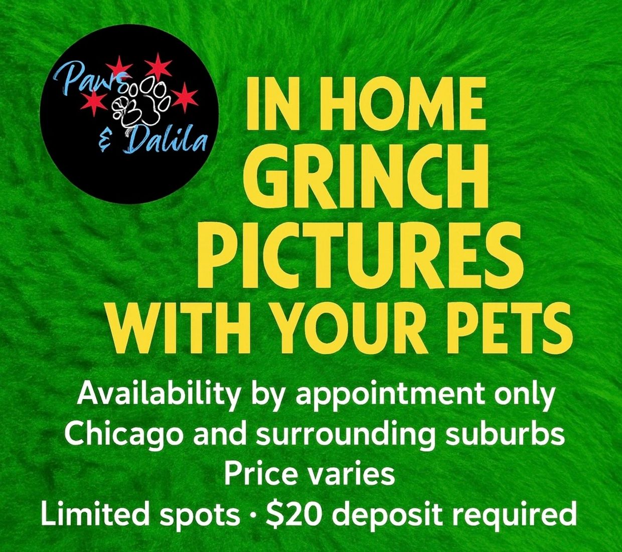 With our in-home Grinch photo session, your pet can stay in the place they feel safest. 🎄🐾