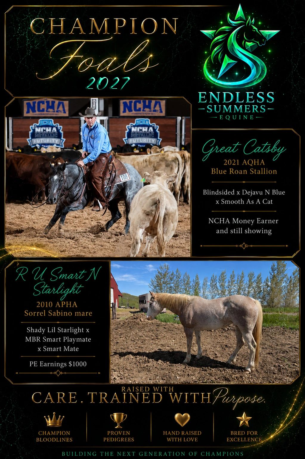Champion foals 2027 by Endless Summers Equine with photos and details of Great Catsby and R U Smart N Starlight.