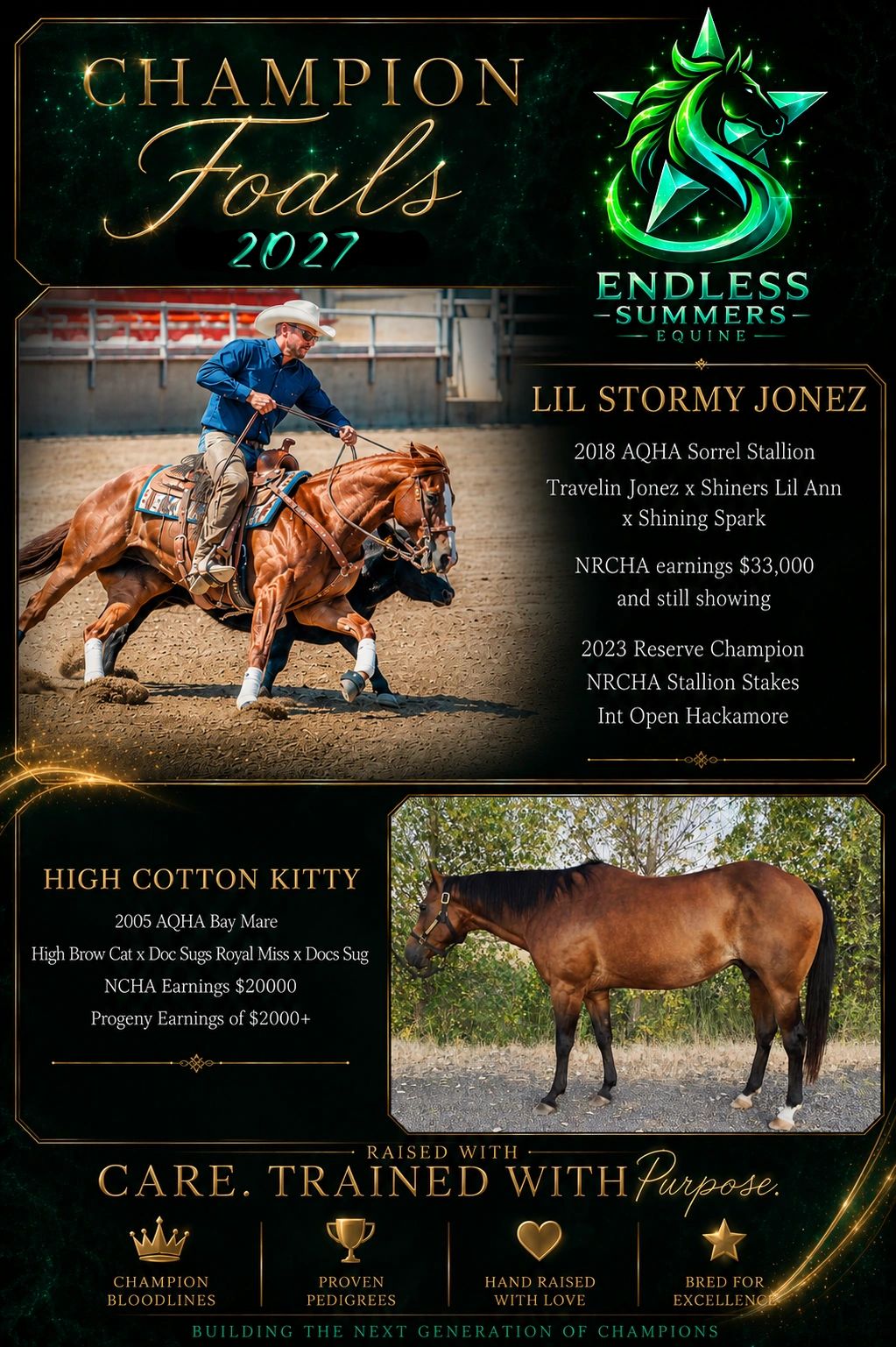 Champion Foals 2027 featuring Lil Stormy Jonez and High Cotton Kitty from Endless Summers Equine.