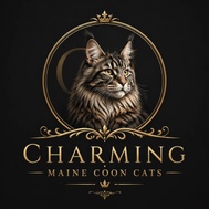Charming Mainecoon