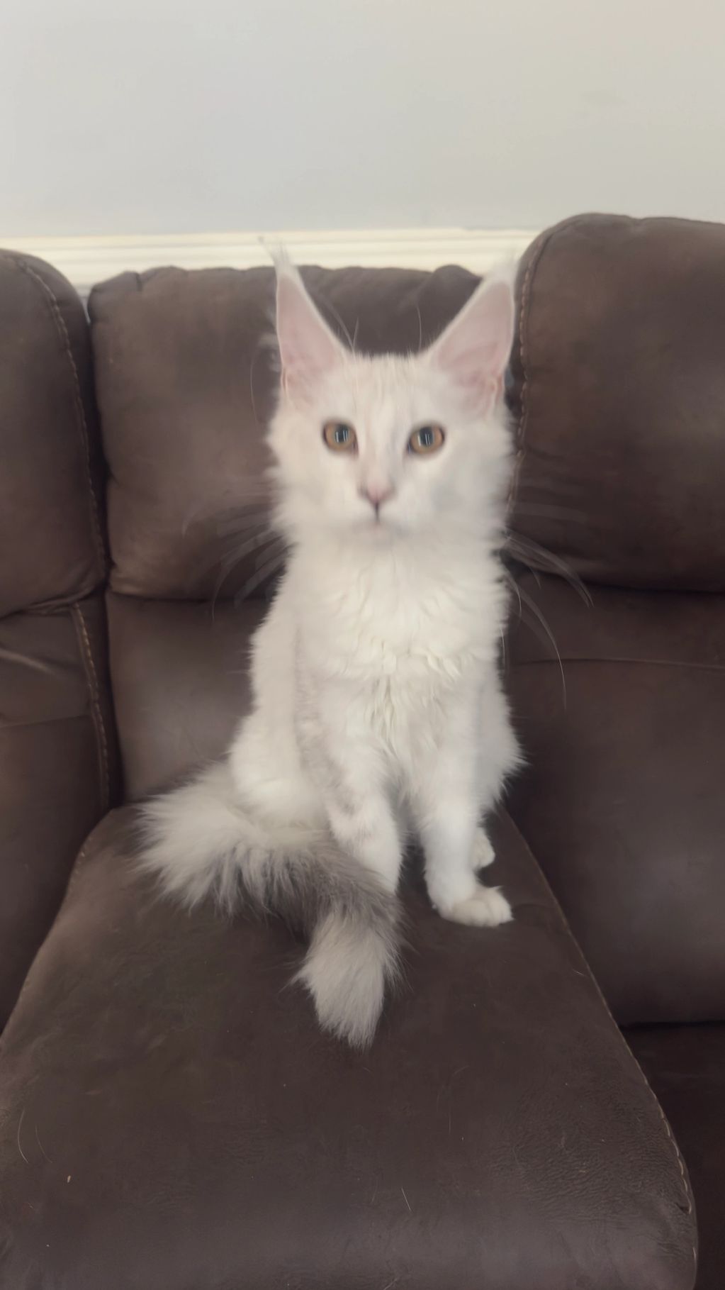 Grace, Our Social Queen