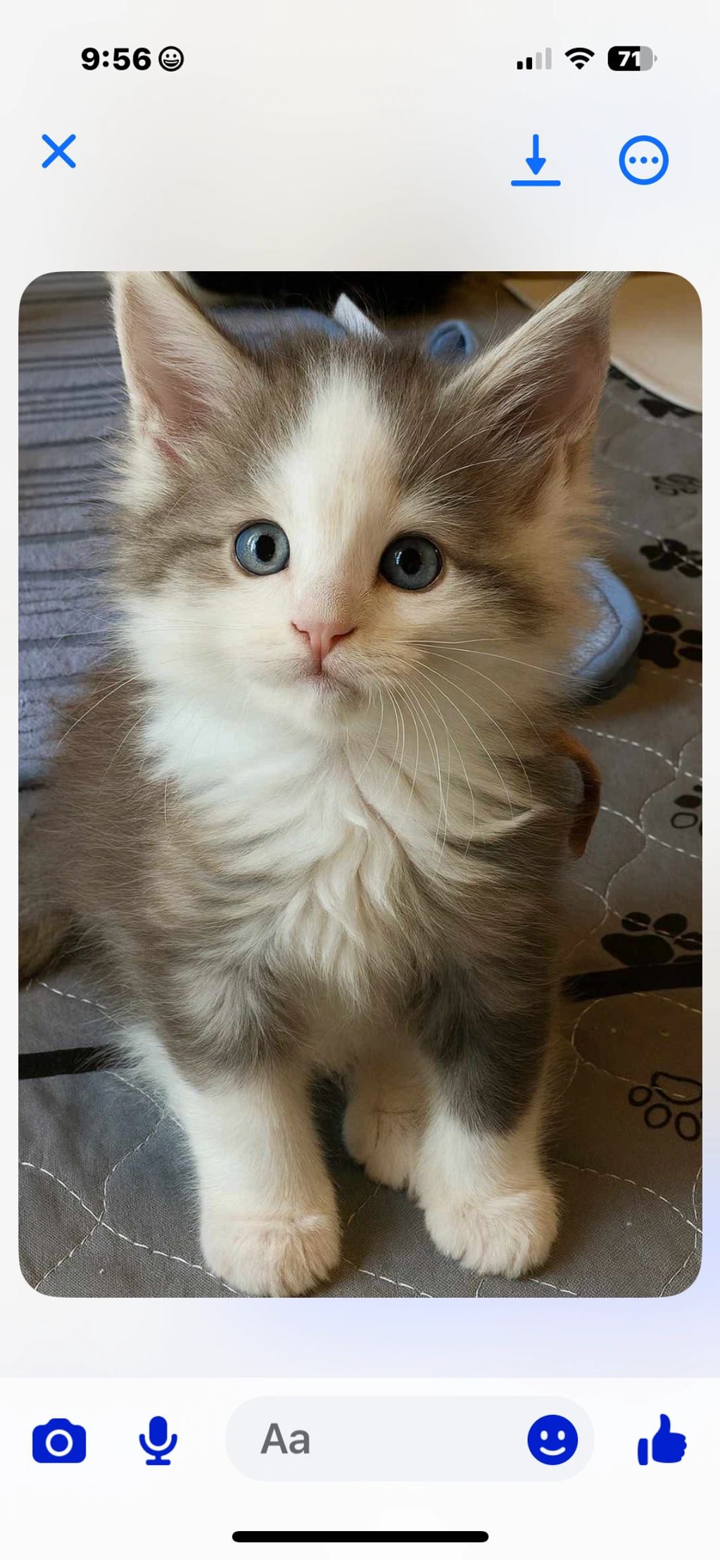 Blue Moon, Our Future Queen