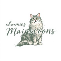 Charming Mainecoon 
