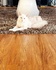 Charming Mainecoon