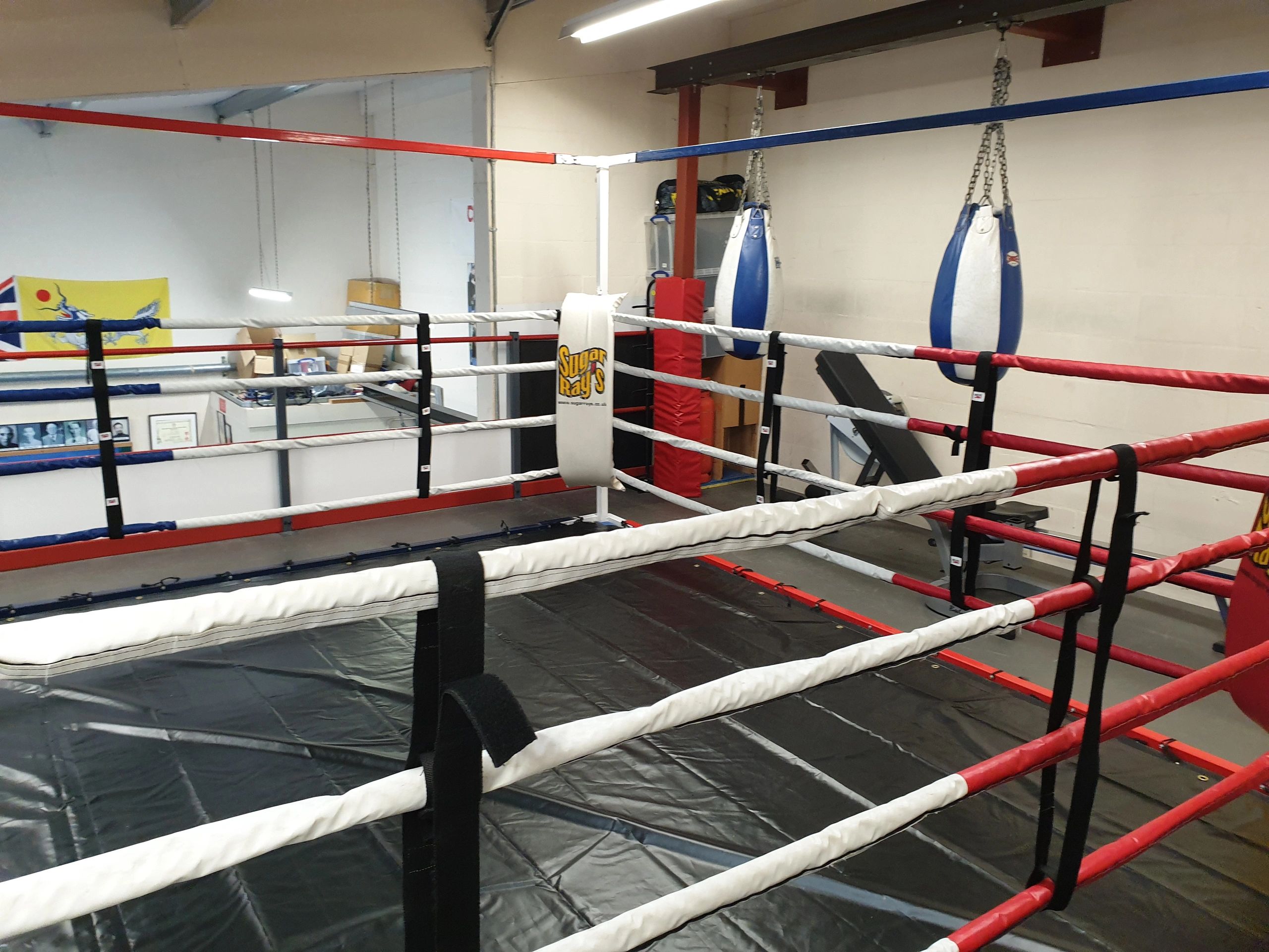 KB MMA & Self Defence Chelmsford photo