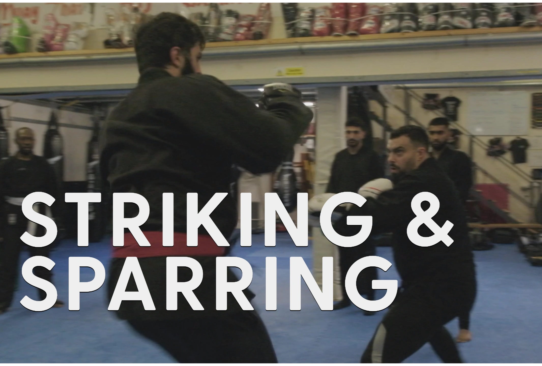 KB MMA & Self Defence Chelmsford photo