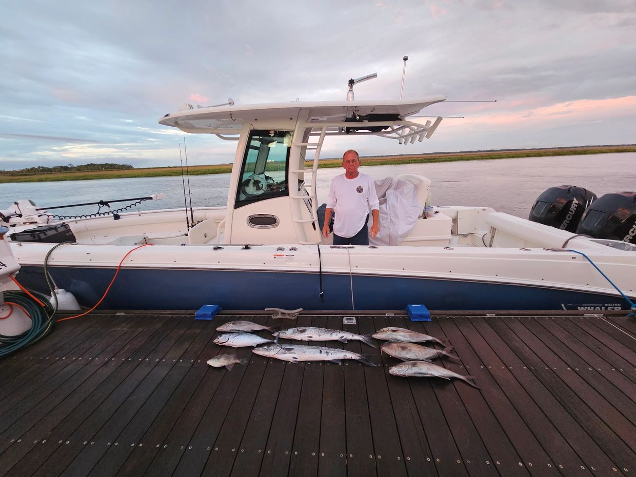 Boston Whaler 32' with displaying a variety of pelagic fish catch. 