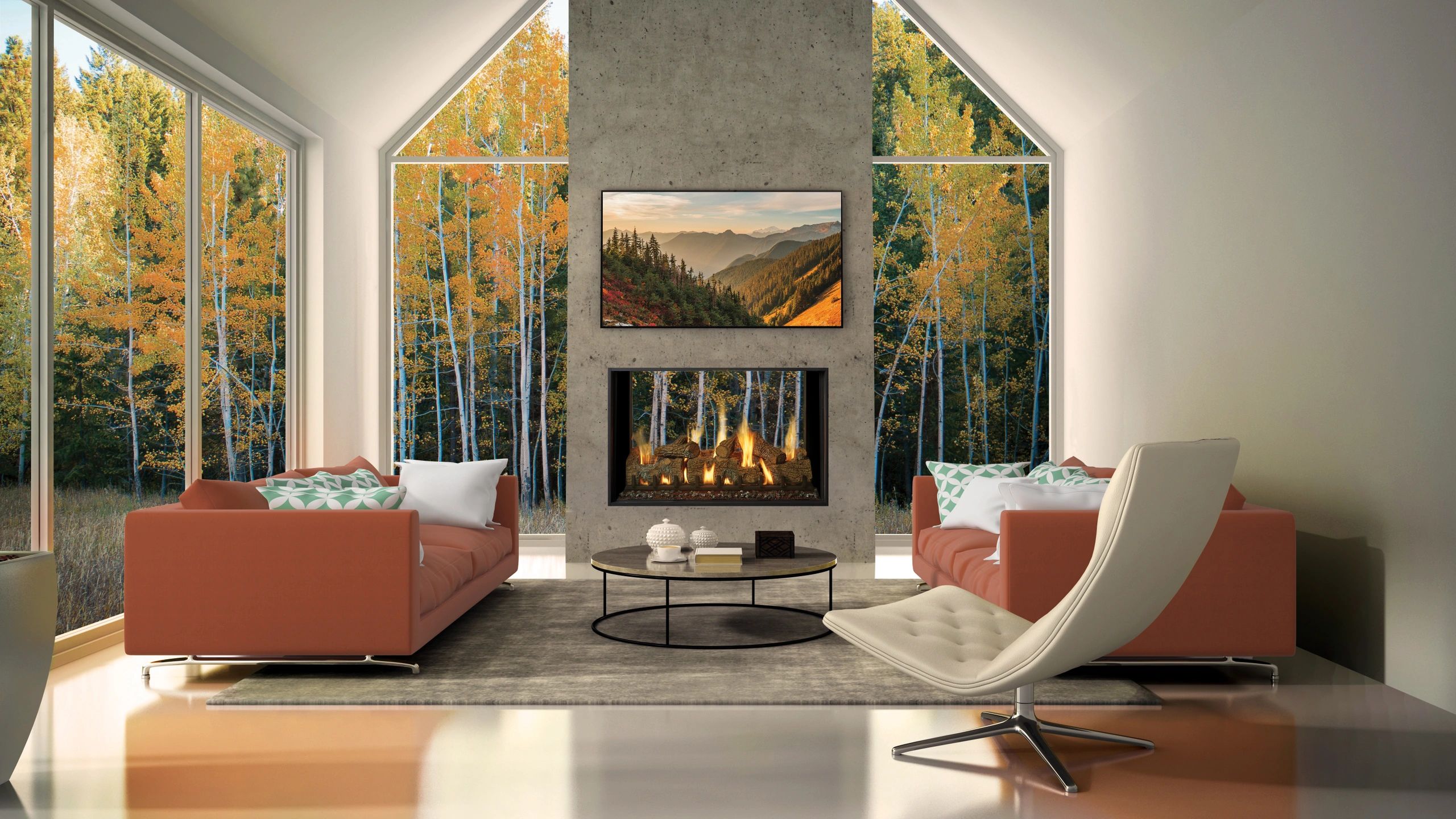 South Central Travis Dealers Fireplaces, Wood Stoves