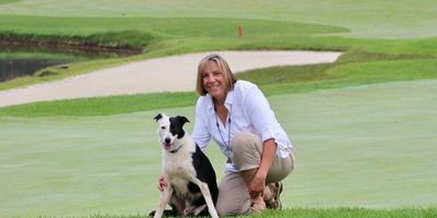 Goose Dogs For Sale: Trained Border Collie for Sale for Goose Control