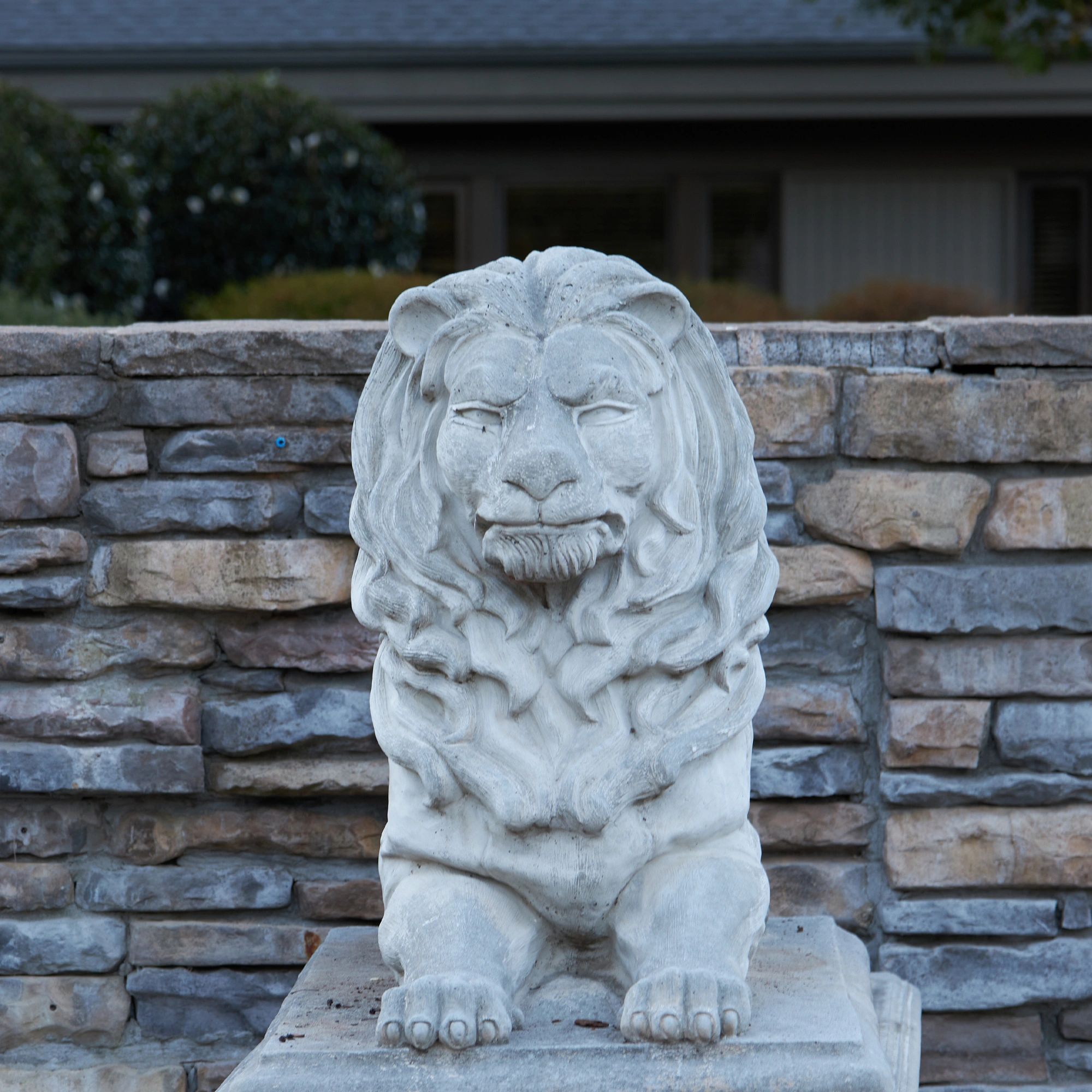 Mitch the Lion at The Mitchell Academy
Dearborn Education