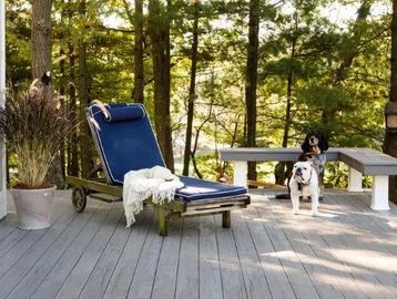 Dogs on wooden deck with lounge chair and bench.