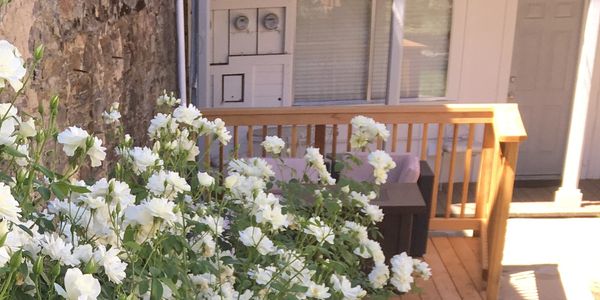 White roses in our garden patio