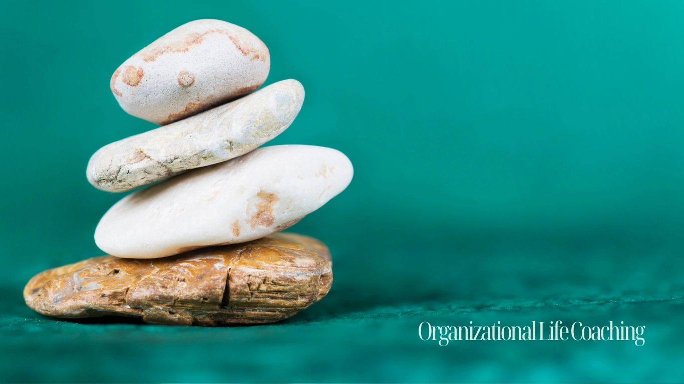 Organizational Development Coach And Consultant And Life Coach