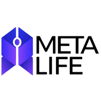 Metalife Metaverse