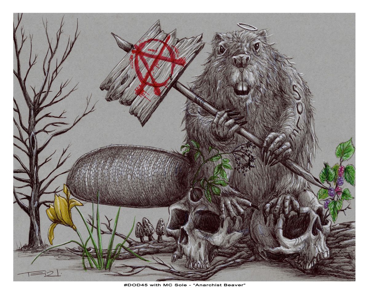 Anarchist Beaver - Drawing from Sole Episode 22, image size:1200x960