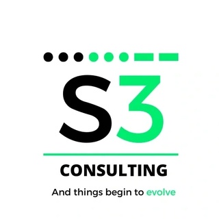 S3 Consulting