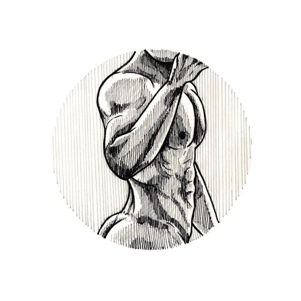 Male body #2